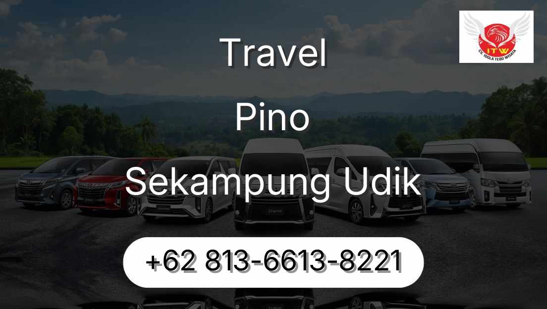 Travel Pino Sekampung Udik